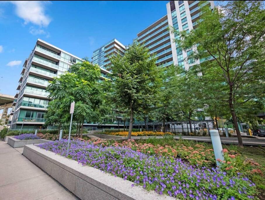 Cn Tower View With Free Parking, Pool, & More Amenities Toronto Ngoại thất bức ảnh